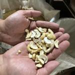 Quy Trình Sản Xuất Và Đóng Gói Hạt Điều Xuất Khẩu Của VNTL