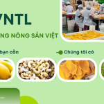 CÔNG TY TNHH SẢN XUẤT THƯƠNG MẠI DỊCH VỤ VNTL