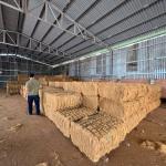 VNTL Xuất Khẩu Chỉ Xơ Dừa Sang Thị Trường Trung Quốc